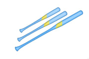 Softball Training Bat Bundle